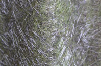 Bryn Eglwys fibreglass roof work